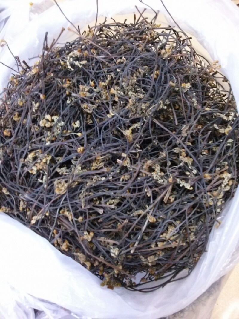 농업회사법인 주식회사 마가팜,민둥산 고사리 (생1kg) (건조100g) [원산지:국산(강원도 정선군)]