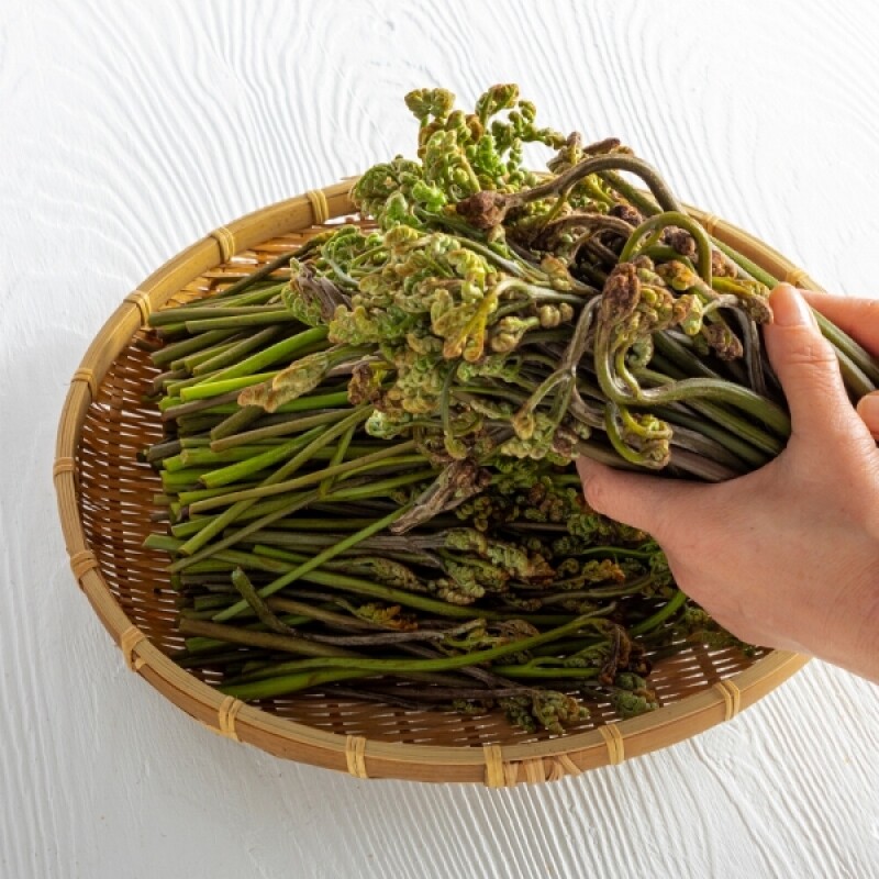 농업회사법인 주식회사 마가팜,민둥산 고사리 (생1kg) (건조100g) [원산지:국산(강원도 정선군)]